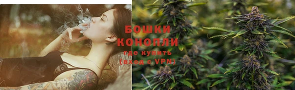 сатива Белокуриха