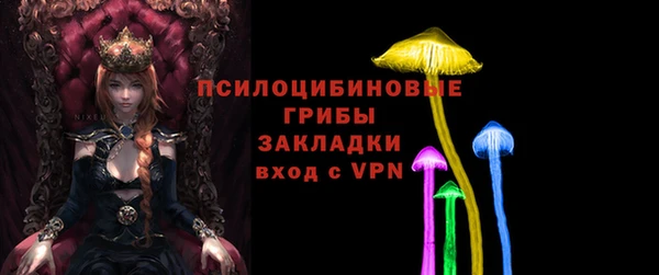 твердый Белоозёрский