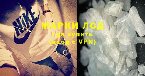 сатива Белокуриха