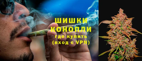 сатива Белокуриха